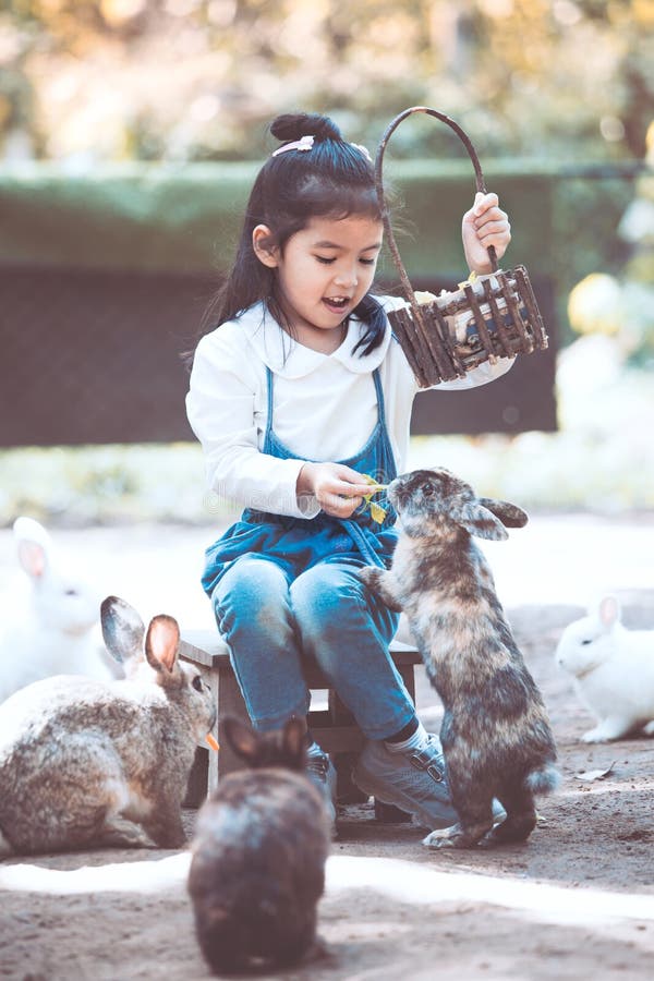 Cute Asian Little Child Girl Feeding Rabbit Stock Image - Image of ...