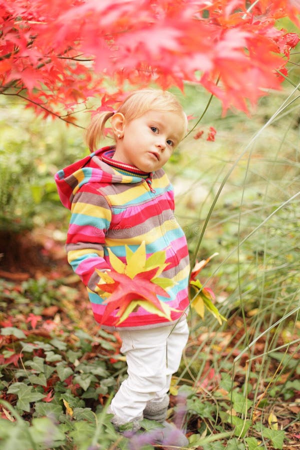Cute autumn stock photo. Image of cheery, floral, cute 22114038