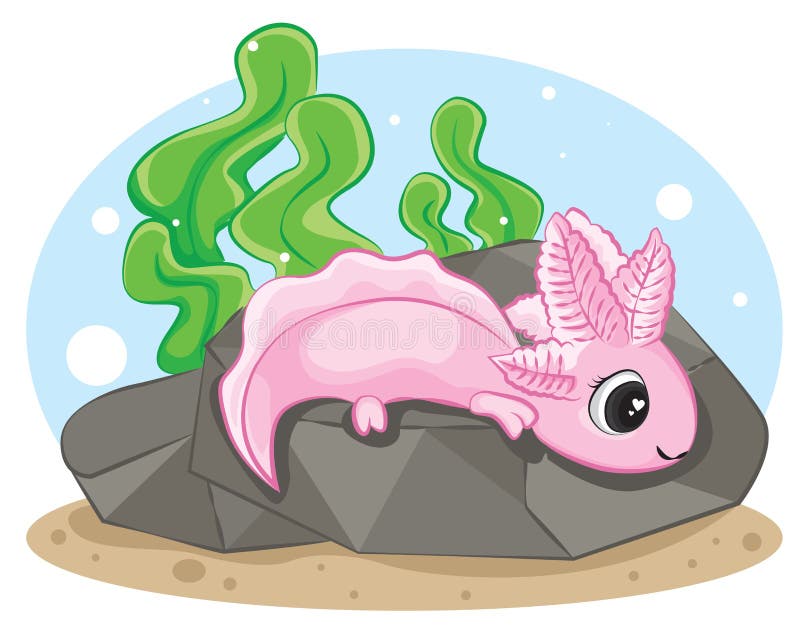 Cute Axolotl Ambystoma Mexicanum On The Rock Of A Light Blue Background Stock Illustration Illustration Of Cheerful Birthday