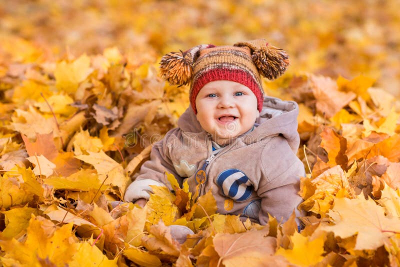 Cute Baby in Autumn Leaves. Stock Photo Image of autumn, outside