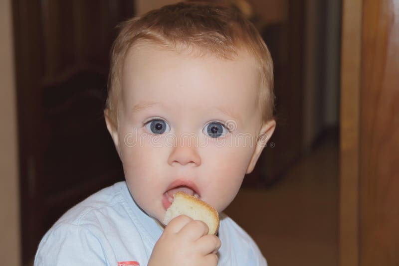 Cute baby boy eating bread stock image. Image of baby 31483927