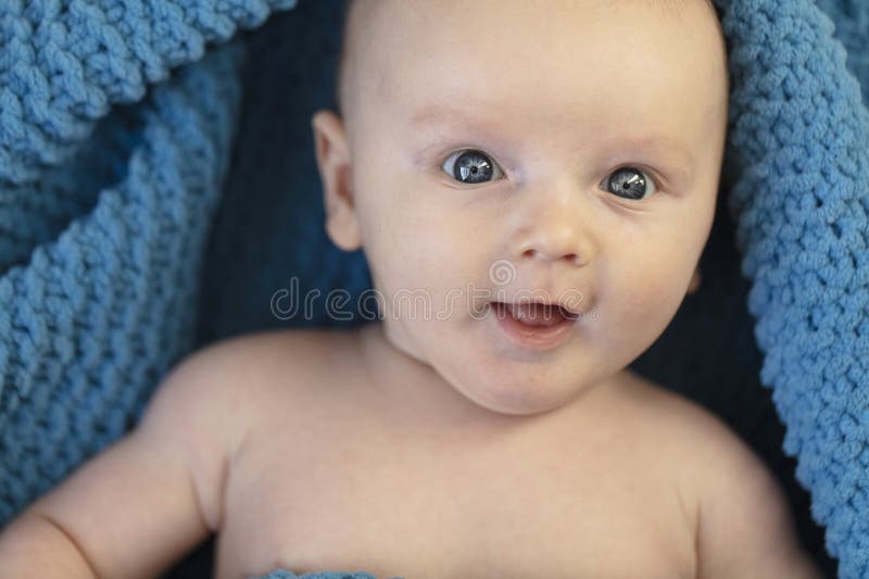 A Cute Baby Boy Wrapped in a Cosy Blue Blanket Looking at the Camera