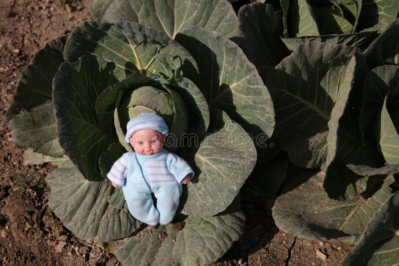 A cute baby doll was found in the cabbage patch.