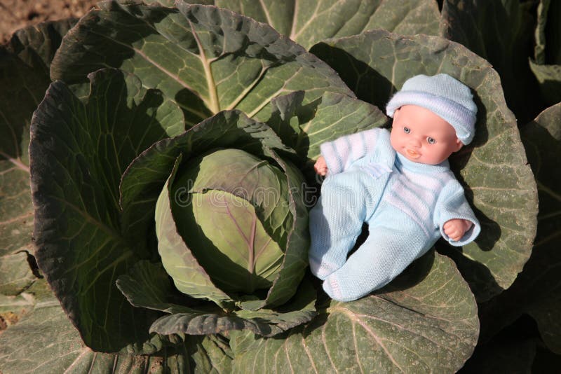 A cute baby doll was found in the cabbage patch.
