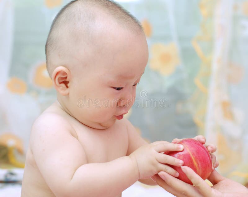 Cute baby eat apple stock image. Image of mother, chinese 10676805