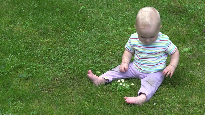 Cute baby explore daisy flowers sitting on lawn. New discoveries. 4K