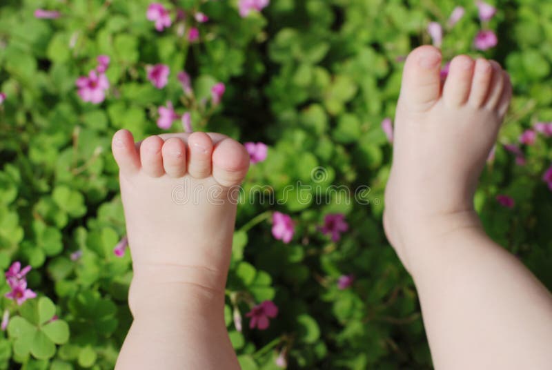 Cute baby feet