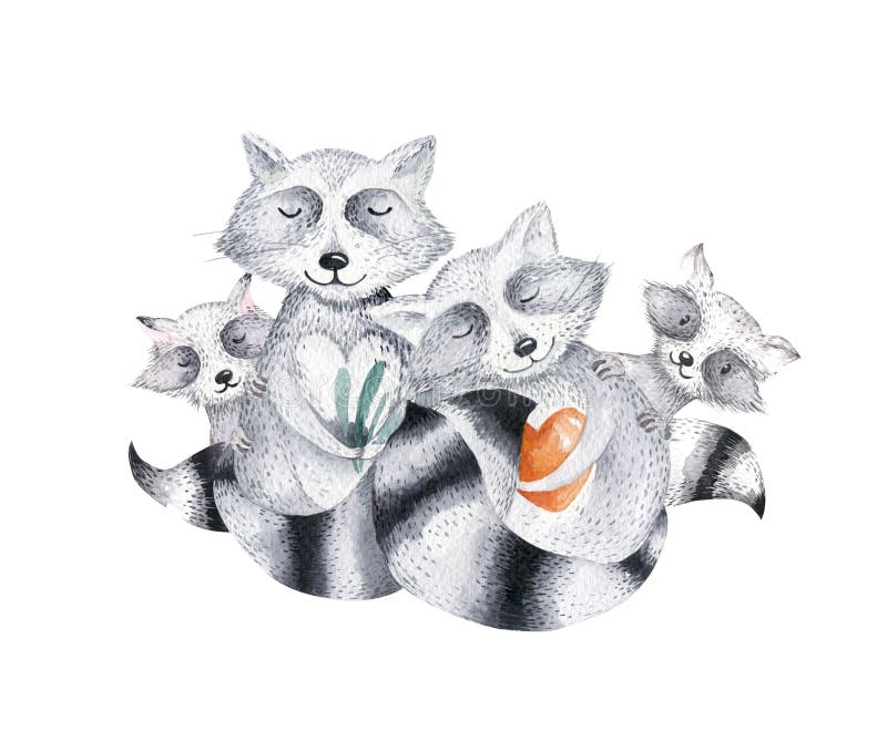 Cute Baby Raccon Nursery Animal Isolated Illustration for Children.  Bohemian Watercolor Boho Forest Raccons Family Stock Illustration -  Illustration of leaf, flower: 97687119