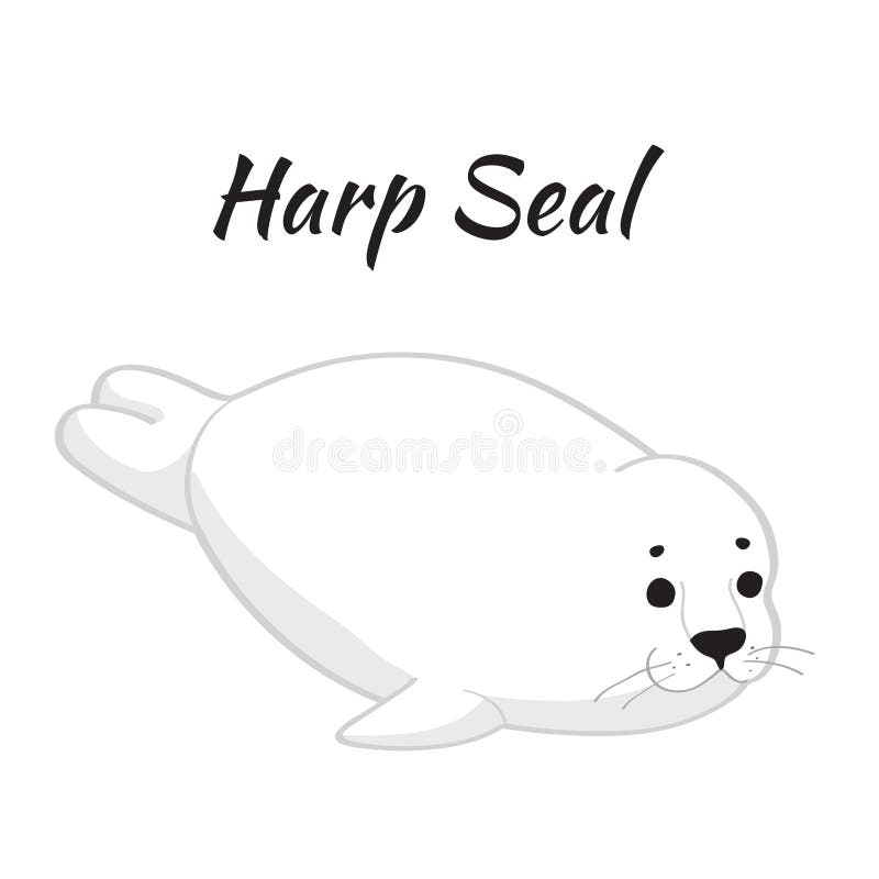 Harp Seal Clipart