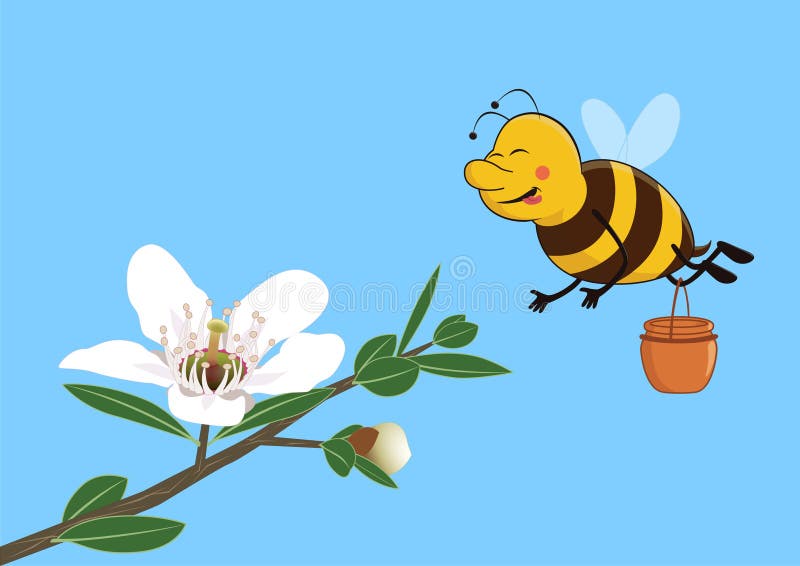 Cute Bee Gather Honey from the Manuka Flower Stock Vector - Illustration of wonderful, medicine: 64523658 Cute Bee Gather Honey from the Manuka Flower Stock Vector - Illustration of wonderful, medicine: 64523658