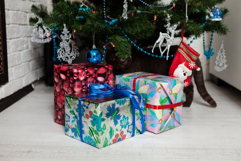 Cute Bengal Cat playing under the Christmas tree royalty free stock photo Cute Bengal Cat playing under the Christmas tree royalty free stock photo