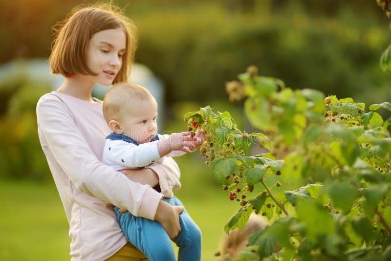 Cute big sister holding her baby brother. Pretty teenage girl picking fresh berries on organic raspberry farm on warm and sunny