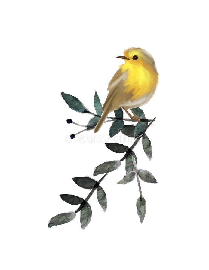 Small Cute Bird On Branch With Leaves Vector Fluffy Bird Stock Vector Illustration Of Nature Branch 112660953