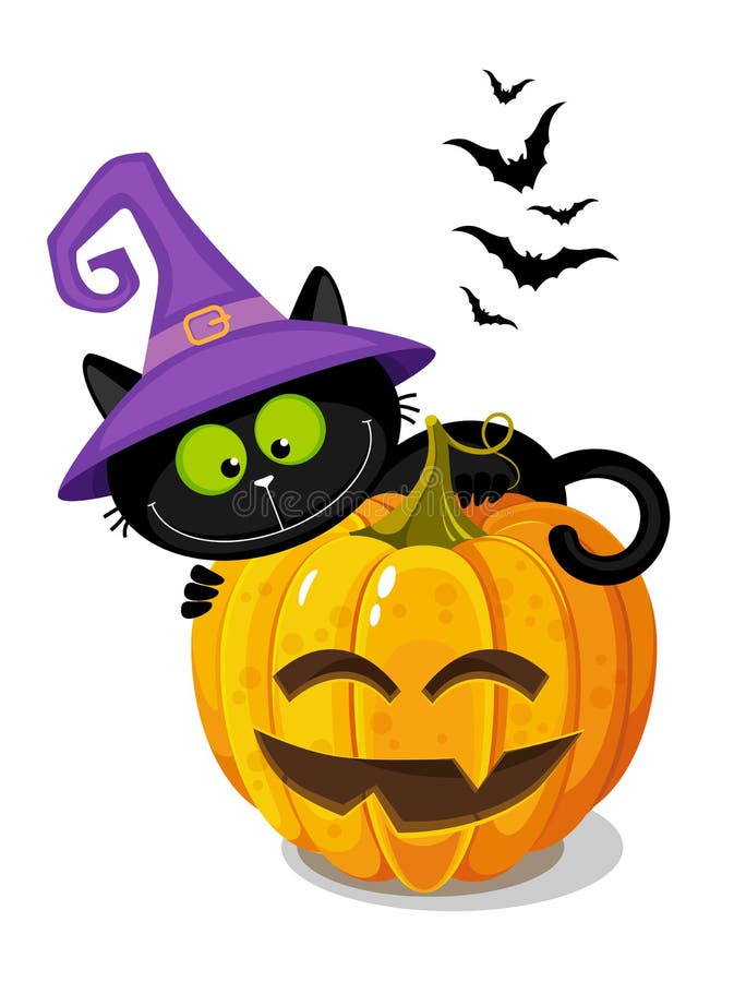 Cute Black Cat in a Witch Hat is Sitting on a Halloween Pumpkin. White ...