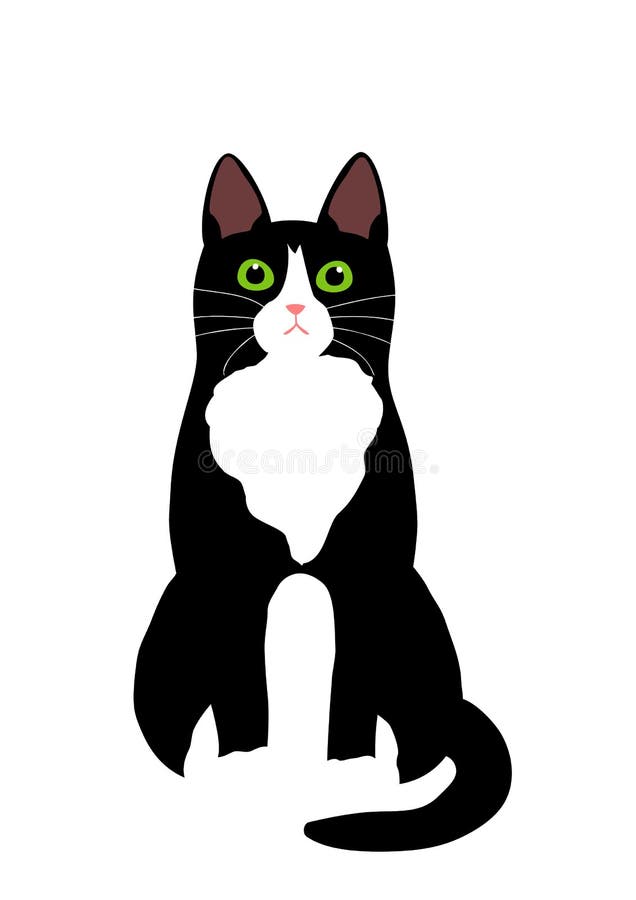 Black White Cat Stock Illustrations – 114,083 Black White Cat Stock  Illustrations, Vectors & Clipart - Dreamstime