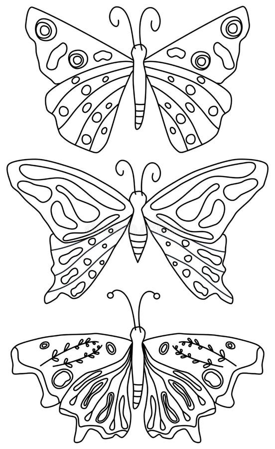 Cute black and white vector art design with butterfly insect, daisy flowers and leaves hand drawn illustration for coloring book