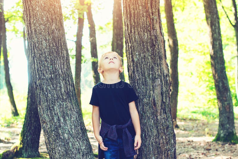 Cute blond boy playing between tree trunks in sunny park.