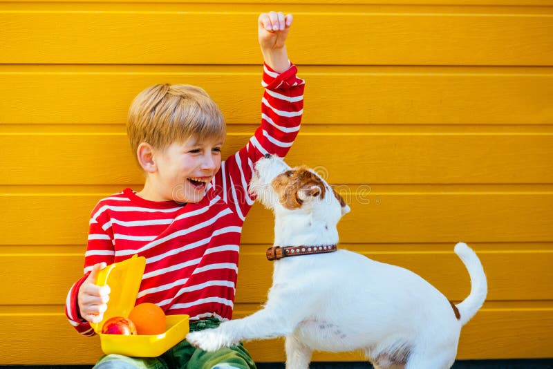 Cute blond school age boy with lunch box feeding treats to his hungry puppy dog Jack Russell Terrier food, that did not eat at