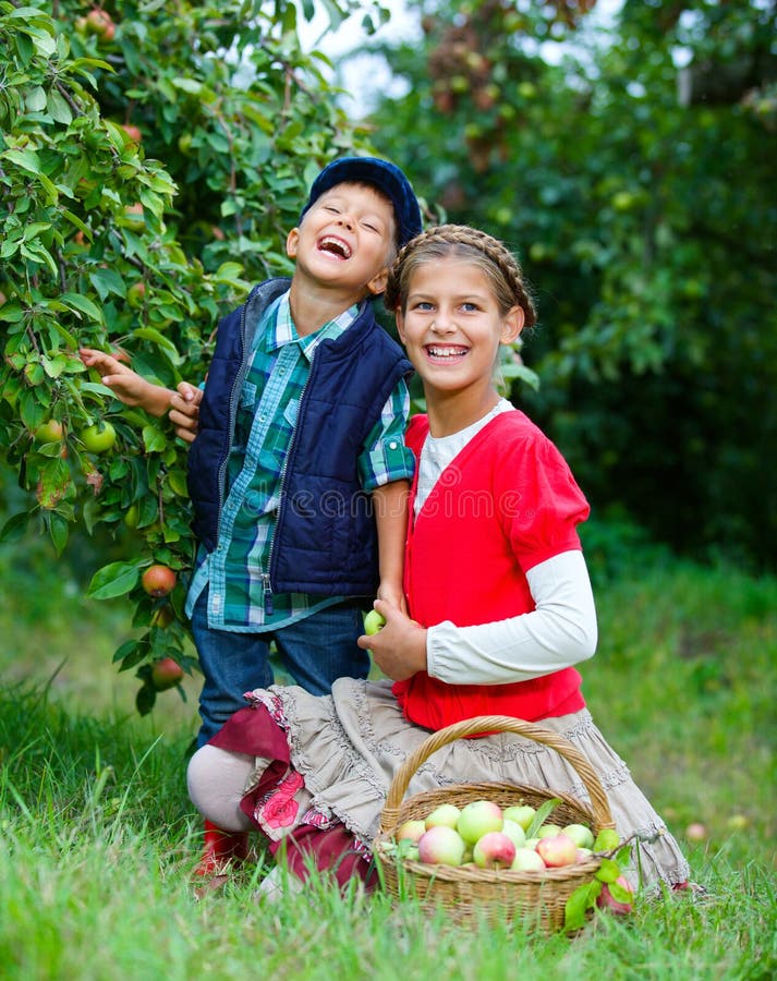 Cute boy in apple orchard