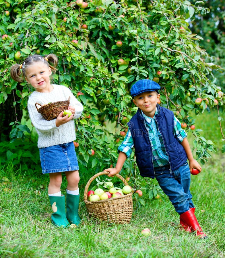 Cute boy in apple orchard