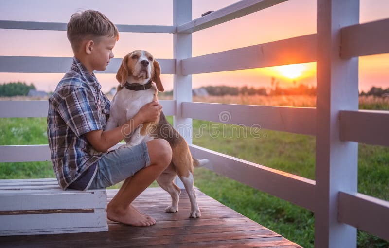 Cute boy and dog Beagle sitting hugging on the veranda royalty free stock image Cute boy and dog Beagle sitting hugging on the veranda royalty free stock image