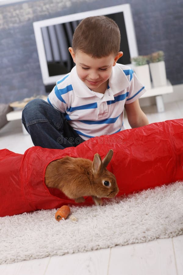 Cute Boy Playing with Pet Bunny Stock Image Image of boys, enjoy