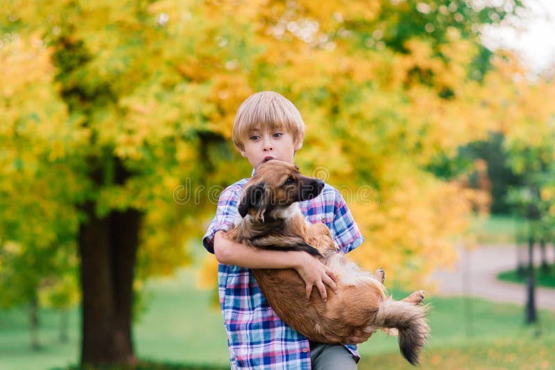 Cute Boy Playing And Walking With His Dog In A Meadow Stock Photo