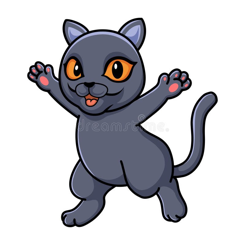 Cute British Shorthair Cat Cartoon Stock Vector - Illustration of ...