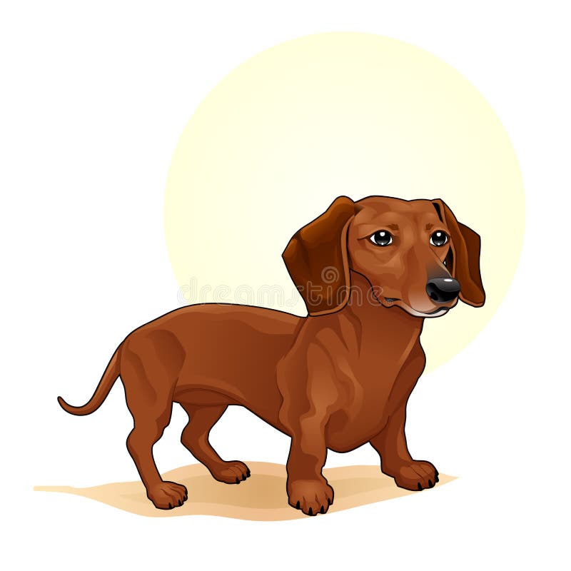 Cute Brown Coloured Dog Amazing Vector Illustration. Cute Cartoon Dogs  Vector Puppy Pet Characters Breads Doggy Illustration Stock Vector -  Illustration of adorable, character: 126841707