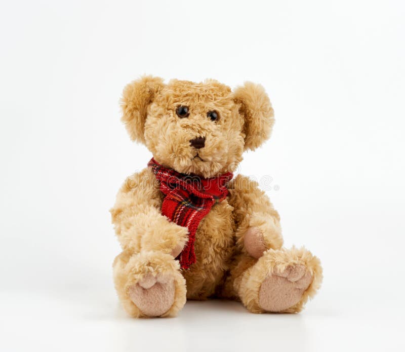 Cute Brown Teddy Bear Holds in His Paw a Bouquet of Red Tulips Next To