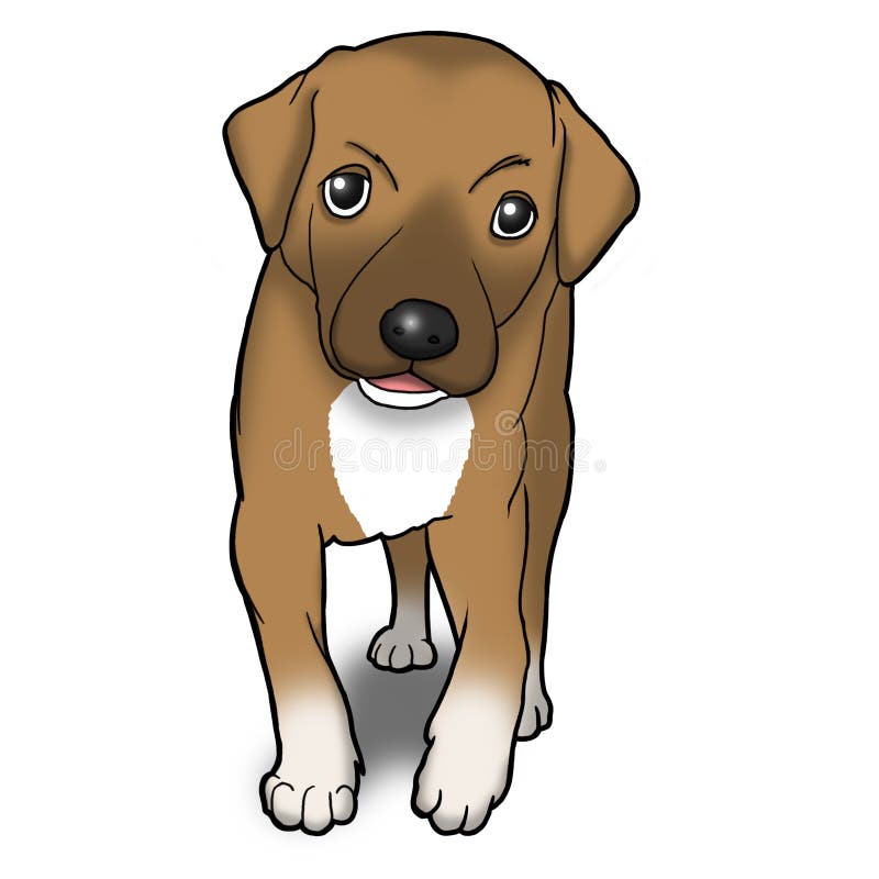 Cute brown puppy stock illustration