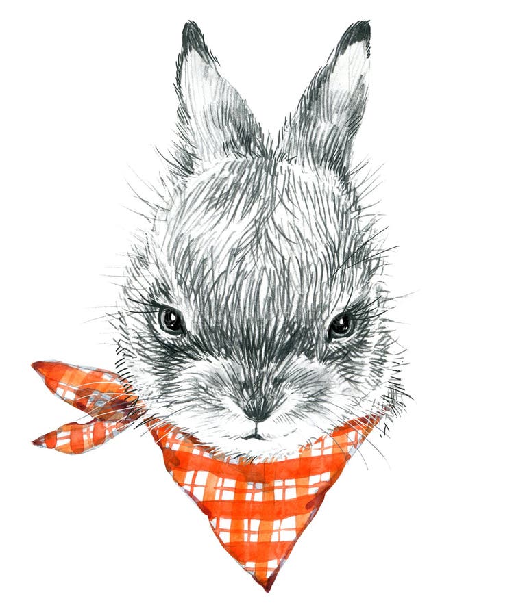 Rabbit - Pencil Sketch by Mark Torrington on Dribbble