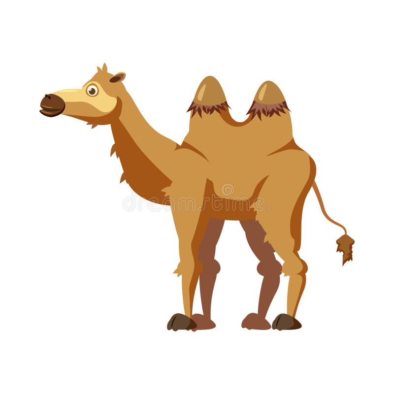 Cute camel, animal, trend, cartoon style, vector, illustration, isolated on white background