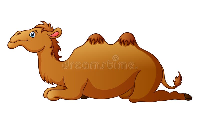 Cute camel cartoon stock vector. Illustration of cute - 98551126
