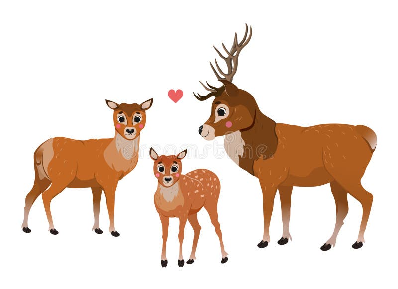 Cute cartoon deer family vector image. Male deer and female doe with little fawn. Forest animals for kids. Isolated on white