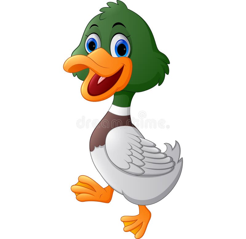 Cute cartoon duck vector illustration