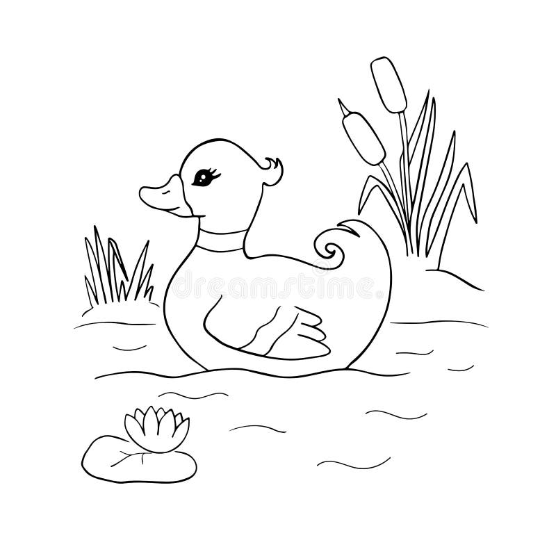 Cute Cartoon Duck Swimming in the Pond for Coloring Page or Book. Black and White Outline Illustration of Animal Character Stock Illustration - Illustration of coloring, cartoon: 201256051 Cute Cartoon Duck Swimming in the Pond for Coloring Page or Book. Black and White Outline Illustration of Animal Character Stock Illustration - Illustration of coloring, cartoon: 201256051