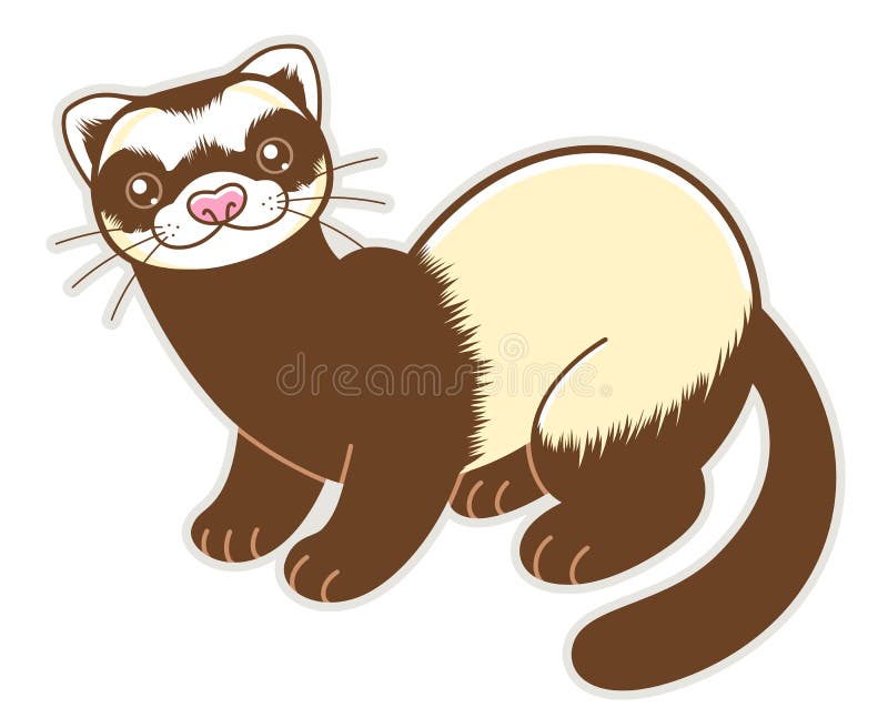 Cute cartoon ferret stock vector. Illustration of funny - 148226465