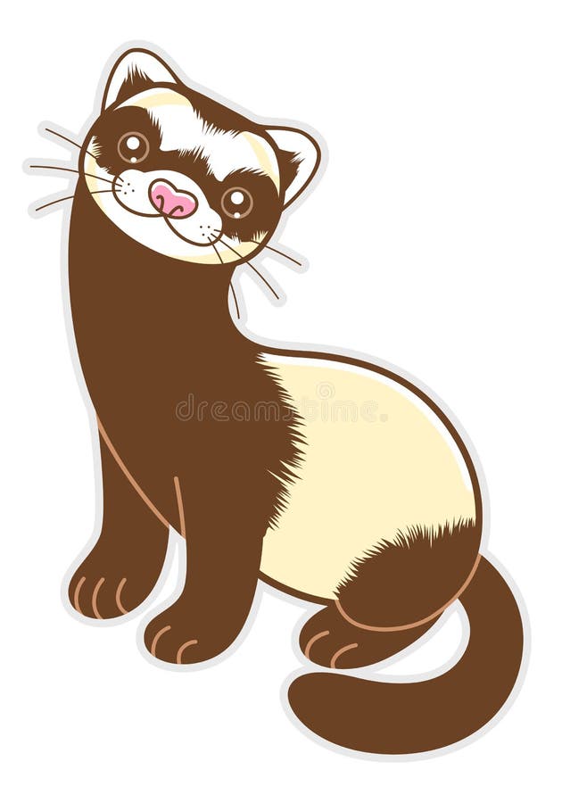 High quality ferret caricature order