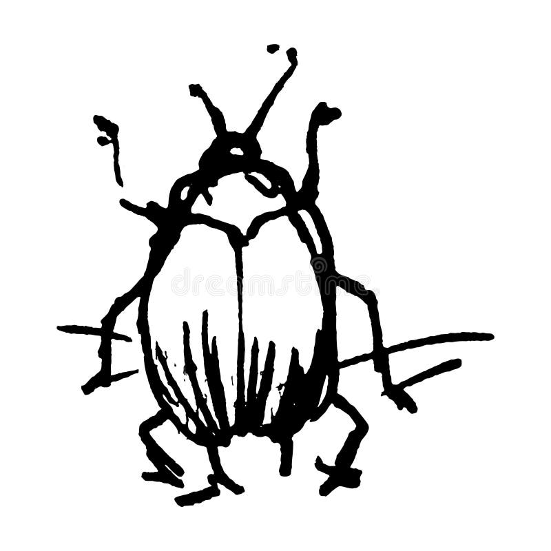 Cute cartoon fruit beetle vector clipart. Garden pest bug. Athropod naive doodle of winged biological insect. Doodle of yard. Wildlife illustration. Isolated royalty free illustration Cute cartoon fruit beetle vector clipart. Garden pest bug. Athropod naive doodle of winged biological insect. Doodle of yard. Wildlife illustration. Isolated royalty free illustration