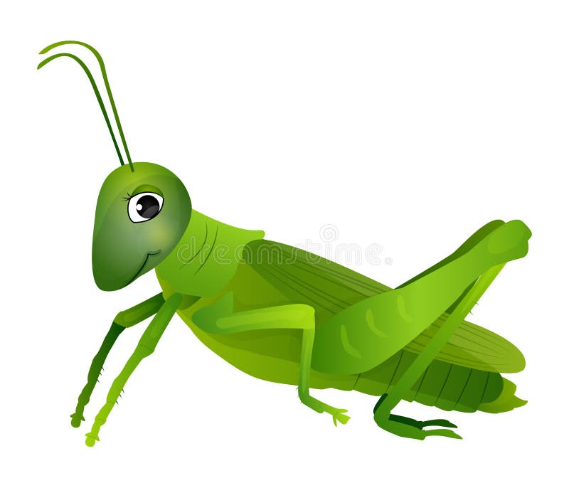 Cartoon Grasshopper Stock Illustrations – 3,006 Cartoon Grasshopper Stock  Illustrations, Vectors & Clipart - Dreamstime