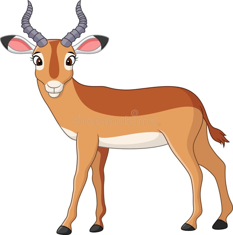 Impala Stock Illustrations – 2,518 Impala Stock Illustrations, Vectors