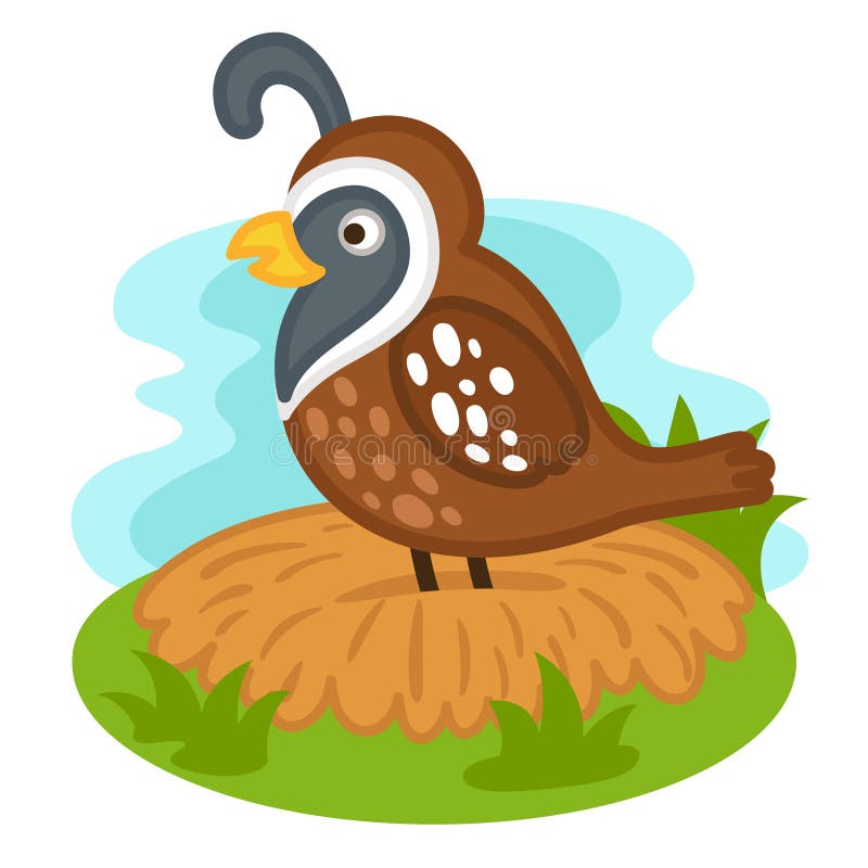 flying quail clipart