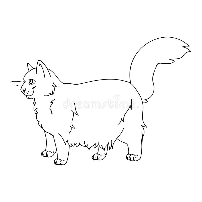 Cute Cartoon Ragdoll Cat Monochrome Lineart Vector Clipart. Pedigree ...