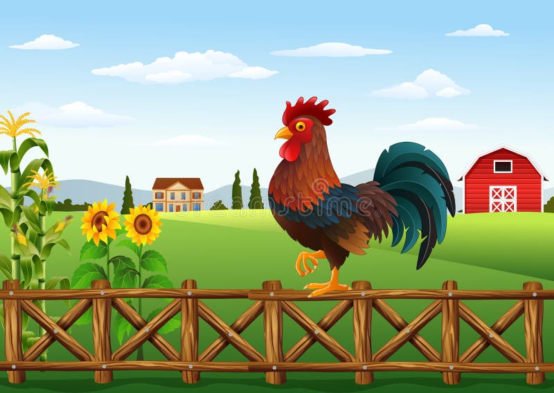 Cute Cartoon Rooster Crowing in the Farm Fence Stock Vector - Illustration of cartoon, sing: 77893708 Cute Cartoon Rooster Crowing in the Farm Fence Stock Vector - Illustration of cartoon, sing: 77893708