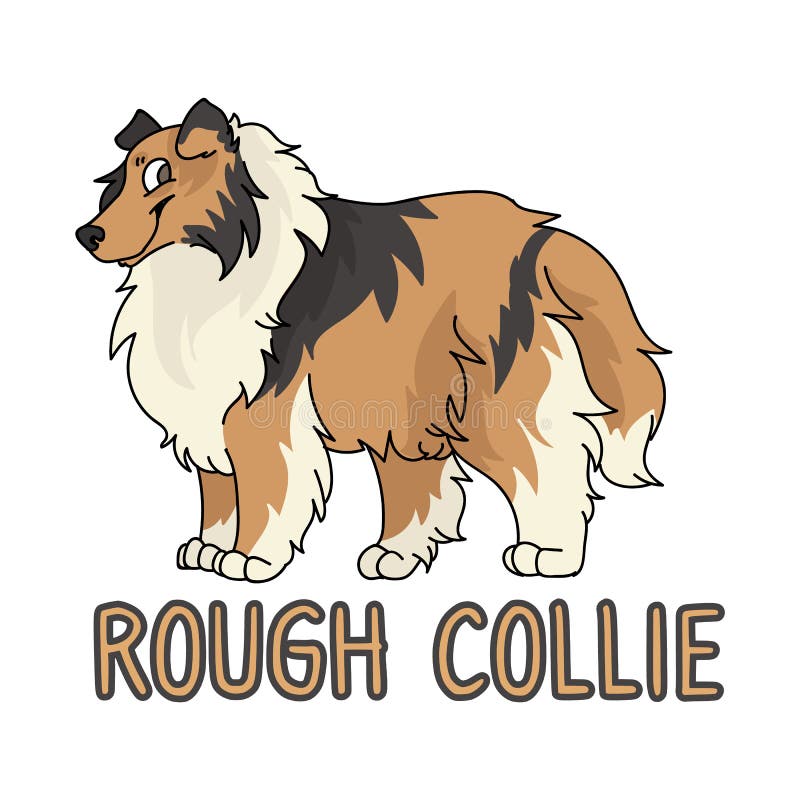 Cute Cartoon Rough Collie Dog Breed with Text Word Print Vector Clipart ...