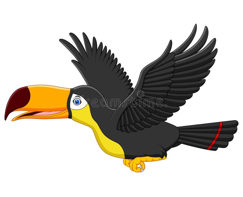 Cute cartoon toucan bird flying vector illustration