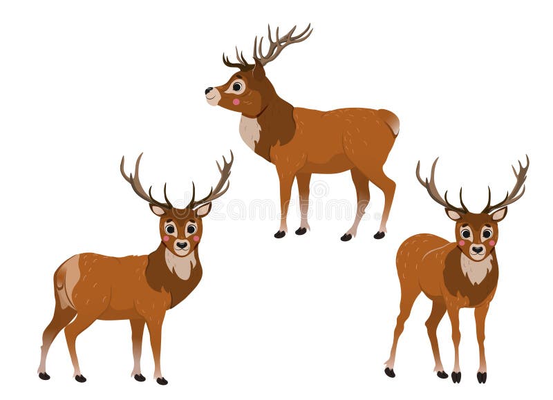 Cute cartoon wild deer vector set. Deers in different postures. Forest animals for kids. Isolated on white background