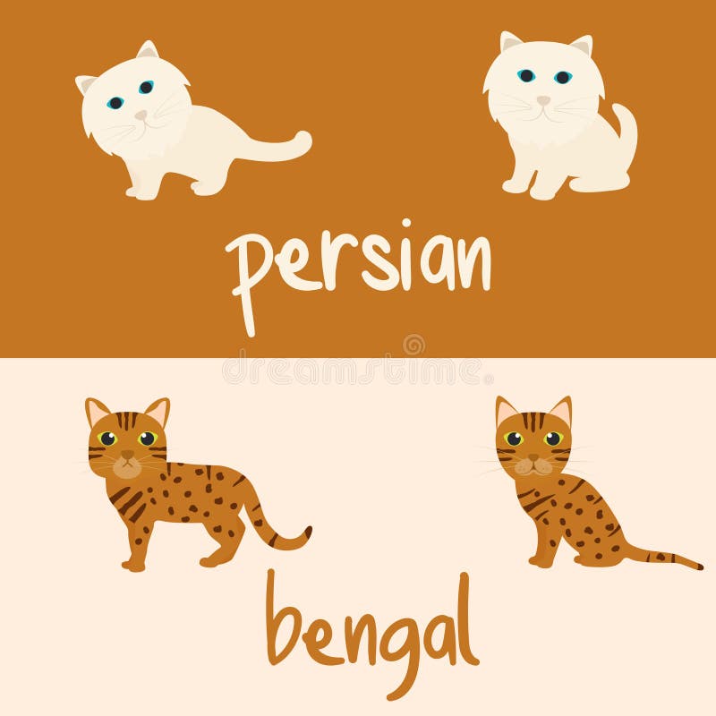 Cute Cat Breeds Cartoon Animal Illustration Type of Persian and Bengal To  Background or Wallpaper Stock Vector - Illustration of seamless, child:  216909803