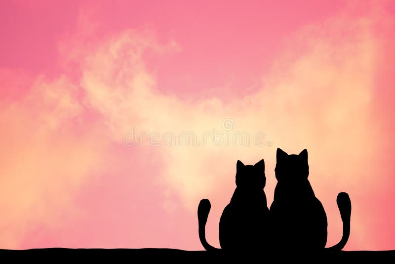 Cute cat couple stock image. Image of heart, full, adorable 188871745